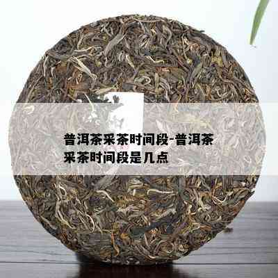 普洱茶采茶时间段-普洱茶采茶时间段是几点