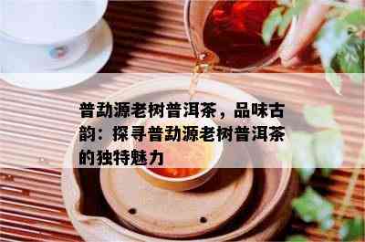 普勐源老树普洱茶，品味古韵：探寻普勐源老树普洱茶的独特魅力