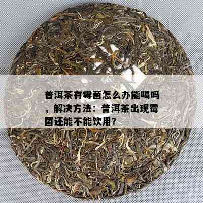 普洱茶有霉菌怎么办能喝吗，解决方法：普洱茶出现霉菌还能不能饮用？