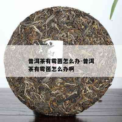 普洱茶有霉菌怎么办-普洱茶有霉菌怎么办啊