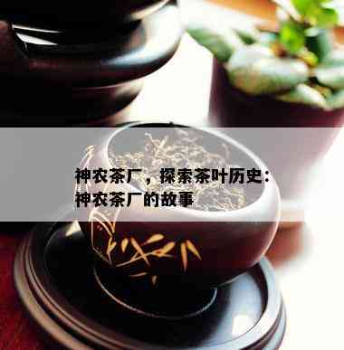 神农茶厂，探索茶叶历史：神农茶厂的故事