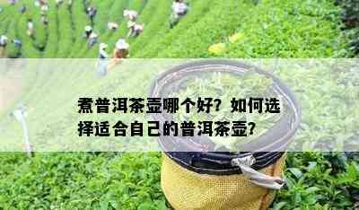 煮普洱茶壶哪个好？怎样选择适合本人的普洱茶壶？