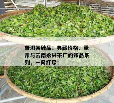 普洱茶臻品：典藏价格、圣邦与云南永兴茶厂的臻品系列，一网打尽！