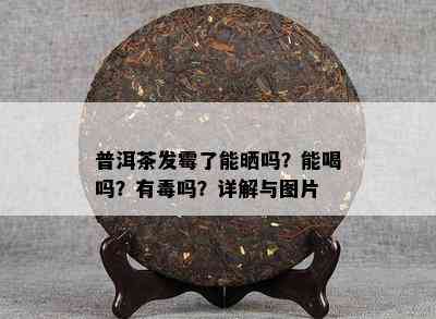 普洱茶发霉了能晒吗？能喝吗？有吗？详解与图片