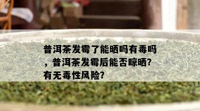 普洱茶发霉了能晒吗有吗，普洱茶发霉后能否晾晒？有无性风险？