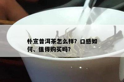 朴宣普洱茶怎么样？口感如何、值得购买吗？