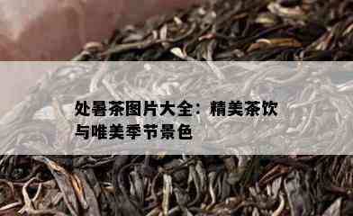 处暑茶图片大全：精美茶饮与唯美季节景色