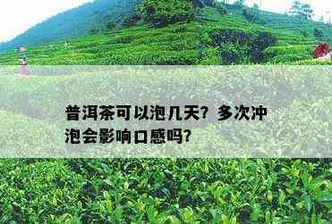 普洱茶可以泡几天？多次冲泡会影响口感吗？