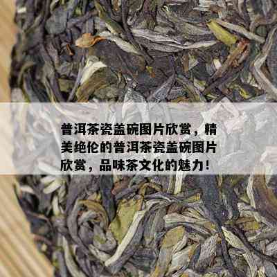 普洱茶瓷盖碗图片欣赏，精美绝伦的普洱茶瓷盖碗图片欣赏，品味茶文化的魅力！