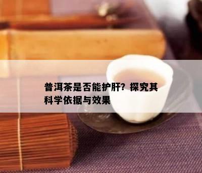 普洱茶是不是能护肝？探究其科学依据与效果