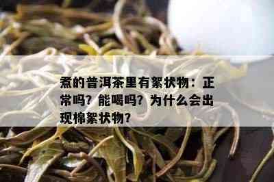 煮的普洱茶里有絮状物：正常吗？能喝吗？为什么会出现棉絮状物？