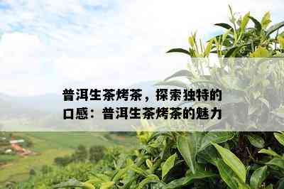 普洱生茶烤茶，探索特别的口感：普洱生茶烤茶的魅力