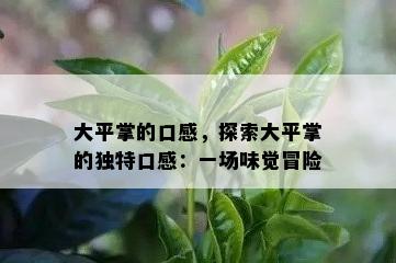 大平掌的口感，探索大平掌的独特口感：一场味觉冒险