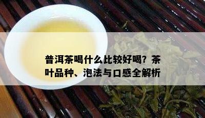 普洱茶喝什么比较好喝？茶叶品种、泡法与口感全解析