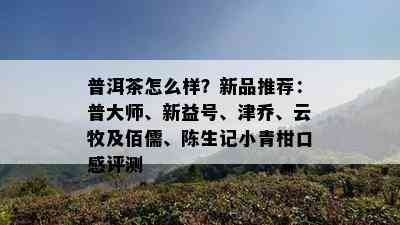 普洱茶怎么样？新品推荐：普大师、新益号、津乔、云牧及佰儒、陈生记小青柑口感评测