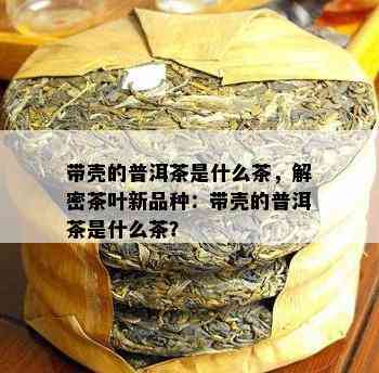 带壳的普洱茶是什么茶，解密茶叶新品种：带壳的普洱茶是什么茶？