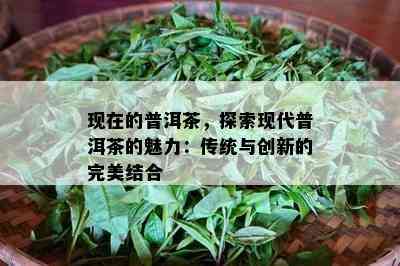 现在的普洱茶，探索现代普洱茶的魅力：传统与创新的完美结合