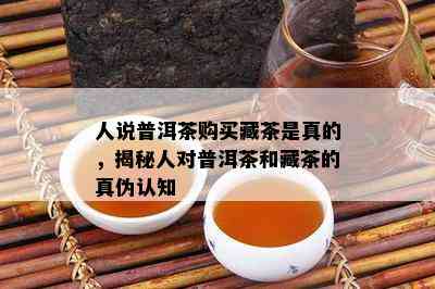 人说普洱茶购买藏茶是真的，揭秘人对普洱茶和藏茶的真伪认知