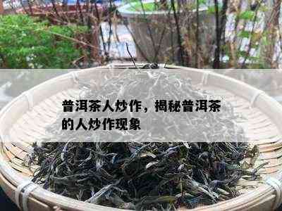 普洱茶人炒作，揭秘普洱茶的人炒作现象