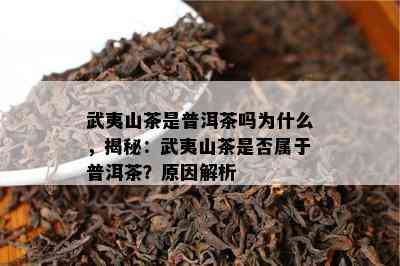 武夷山茶是普洱茶吗为什么，揭秘：武夷山茶是不是属于普洱茶？起因解析