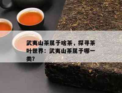 武夷山茶属于啥茶，探寻茶叶世界：武夷山茶属于哪一类？