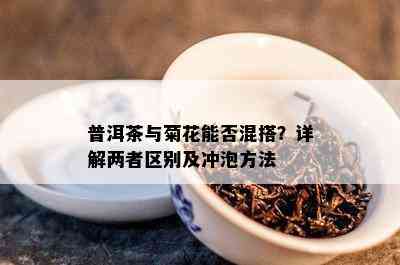 普洱茶与菊花能否混搭？详解两者区别及冲泡方法