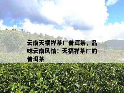 云南天福祥茶厂普洱茶，品味云南风情：天福祥茶厂的普洱茶