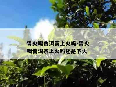 胃火喝普洱茶上火吗-胃火喝普洱茶上火吗还是下火