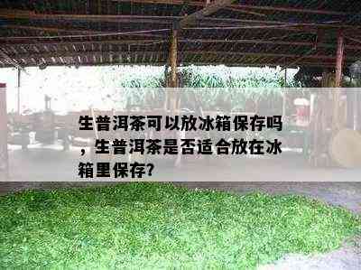 生普洱茶可以放冰箱保存吗，生普洱茶是不是适合放在冰箱里保存？