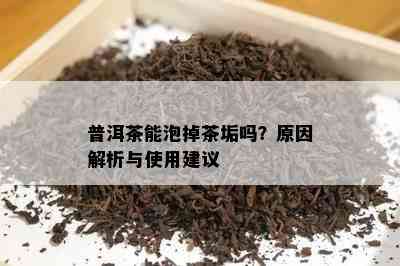 普洱茶能泡掉茶垢吗？原因解析与使用建议