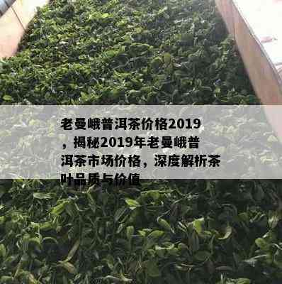 老曼峨普洱茶价格2019，揭秘2019年老曼峨普洱茶市场价格，深度解析茶叶品质与价值