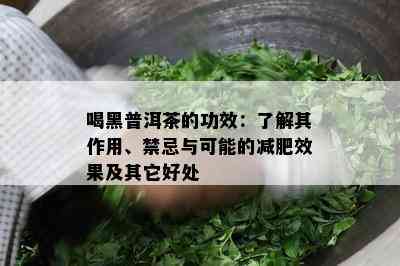 喝黑普洱茶的功效：熟悉其作用、禁忌与可能的减肥效果及其它好处