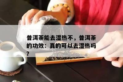 普洱茶能去湿热不，普洱茶的功效：真的可以去湿热吗？