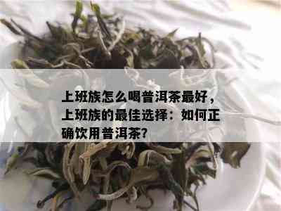 上班族怎么喝普洱茶更好，上班族的更佳选择：如何正确饮用普洱茶？