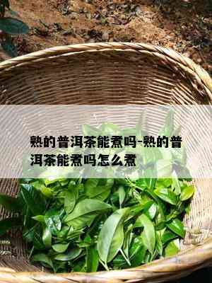 熟的普洱茶能煮吗-熟的普洱茶能煮吗怎么煮