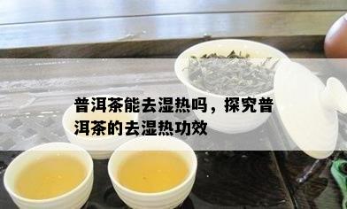 普洱茶能去湿热吗，探究普洱茶的去湿热功效