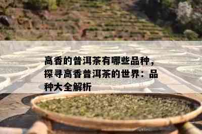 高香的普洱茶有哪些品种，探寻高香普洱茶的世界：品种大全解析