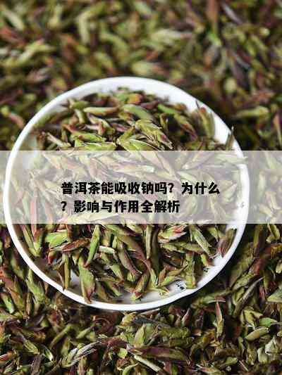 普洱茶能吸收钠吗？为什么？作用与作用全解析