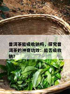 普洱茶能吸收钠吗，探究普洱茶的神奇功效：能否吸收钠？