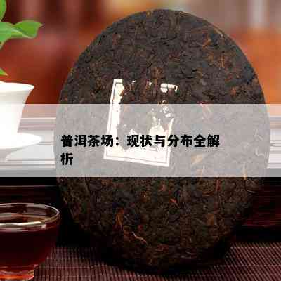 普洱茶场：现状与分布全解析