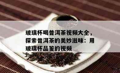 玻璃杯喝普洱茶视频大全，探索普洱茶的美妙滋味：用玻璃杯品鉴的视频