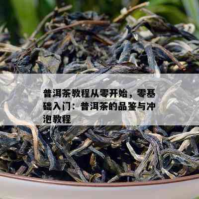 普洱茶教程从零开始，零基础入门：普洱茶的品鉴与冲泡教程