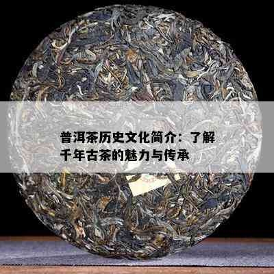 普洱茶历史文化简介：了解千年古茶的魅力与传承