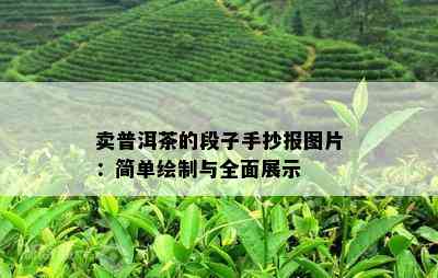 卖普洱茶的段子手抄报图片：简单绘制与全面展示