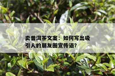 卖普洱茶文案：怎样写出吸引人的朋友圈宣传语？