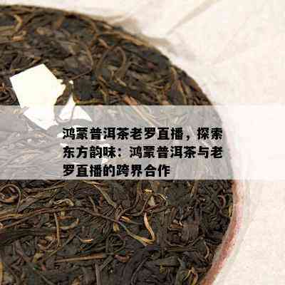 鸿蒙普洱茶老罗直播，探索东方韵味：鸿蒙普洱茶与老罗直播的跨界合作