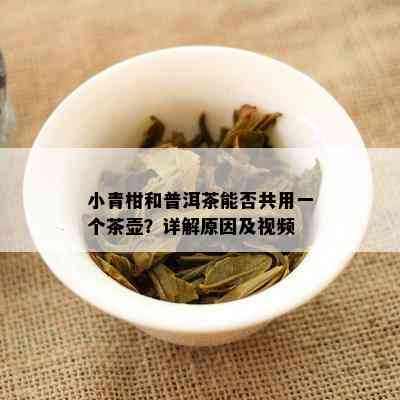 小青柑和普洱茶能否共用一个茶壶？详解起因及视频