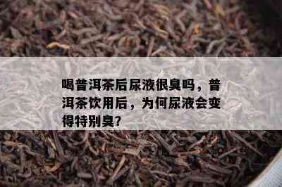 喝普洱茶后尿液很臭吗，普洱茶饮用后，为何尿液会变得特别臭？