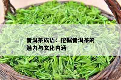 普洱茶成语：挖掘普洱茶的魅力与文化内涵