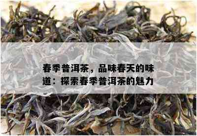 春季普洱茶，品味春天的味道：探索春季普洱茶的魅力